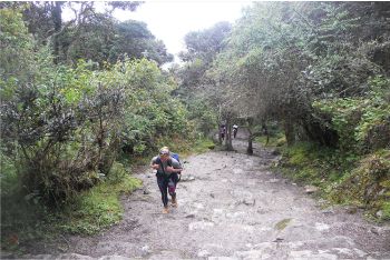 tour a lares